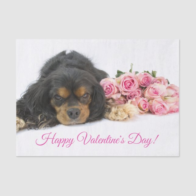 Happy Valentine's Day Cavalier King Charles Tissue Paper (Front)