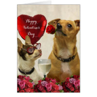 Happy Valentine's day chihuahua dogs card