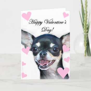 Happy Valentine's Day Chihuahua Holiday Card by ritmoboxer at Zazzle