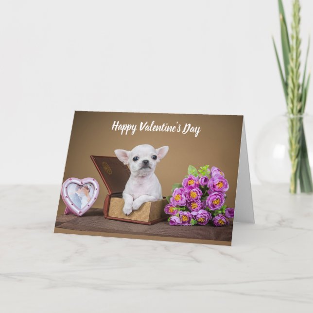 Happy Valentine's Day Chihuahua Puppy Holiday Card (Front)
