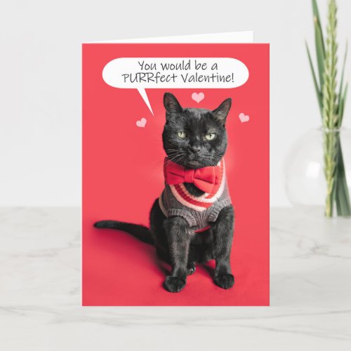 Happy Valentines Day Cute Cat Dressed Up Humor Holiday Card