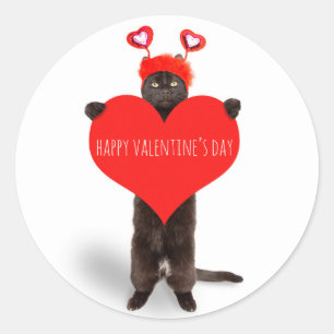 Happy Valentine's Day Cute Cat Holding Heart Humor Classic Round Sticker
