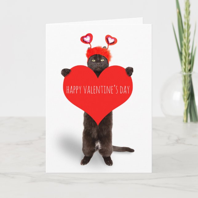 Happy Valentine's Day Cute Cat Holding Heart Humor Holiday Card (Front)