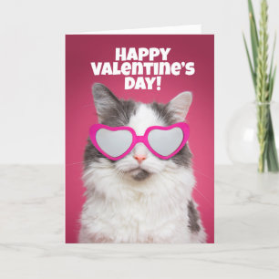 Happy Valentine's Day Cute Cat in Heart Sunglasse Holiday Card