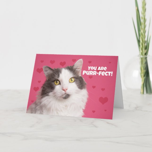 Happy Valentine's Day Cute Cat with Hearts Holiday Card (Front)
