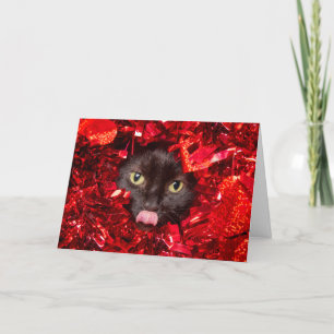 Happy Valentine's Day Cute Cat With Tongue Out Holiday Card