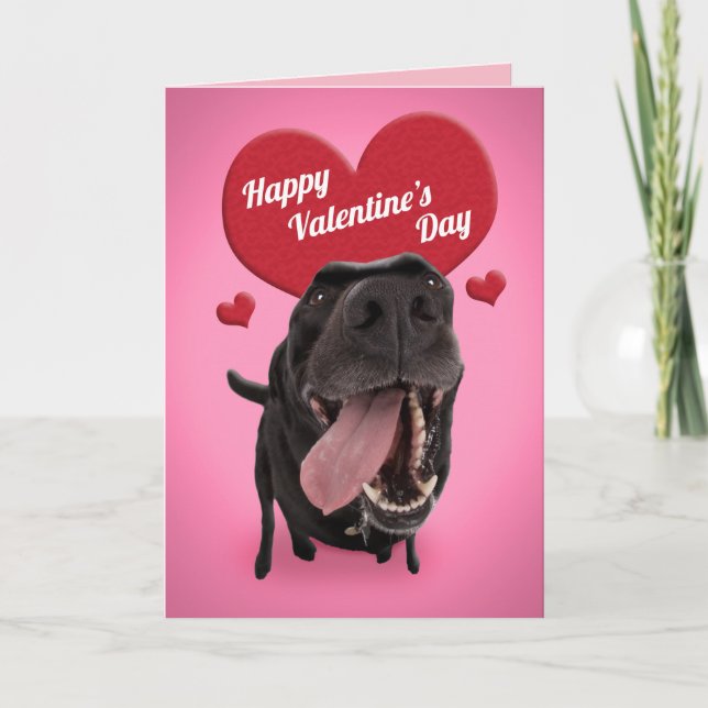 Happy Valentine's Day Cute Dog Humor Holiday Card (Front)