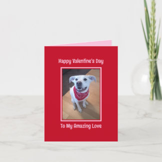 Happy Valentine's Day Cute Dog Smiling Red Holiday Card