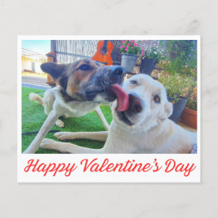Happy Valentines Day cute dogs photo holiday card
