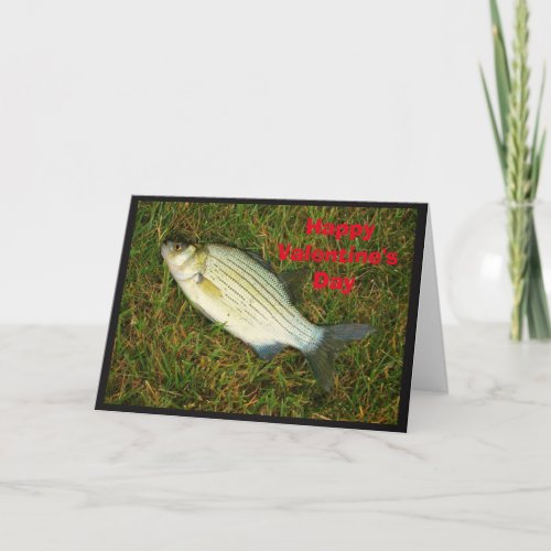 Happy Valentines Day Cute Little Bass Holiday Card