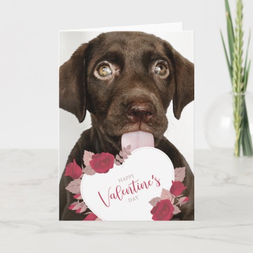 Happy Valentines Day  Cute Puppy Card