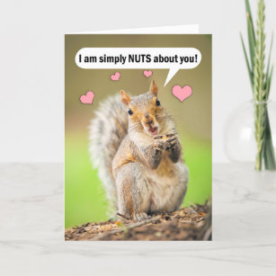 Funny Squirrel Valentine's Day Cards | Zazzle