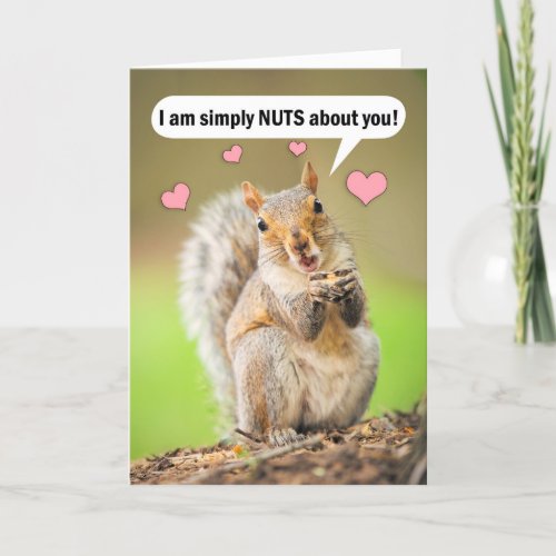 Happy Valentines Day Cute Squirrel Nuts About You Holiday Card