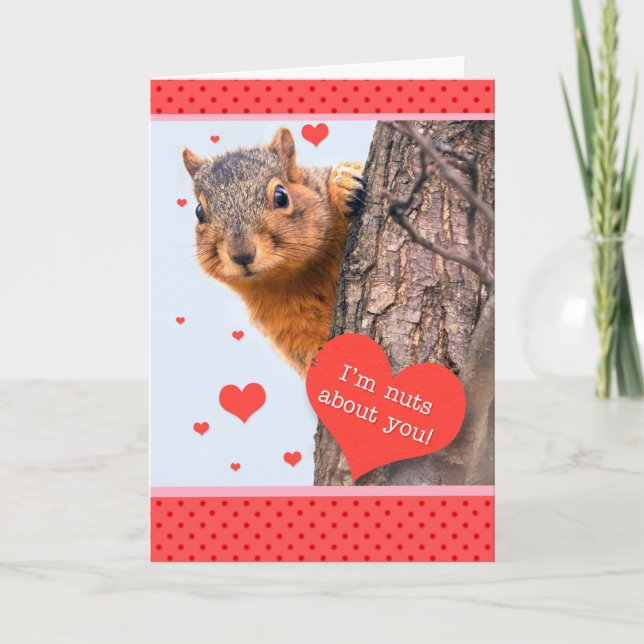 Happy Valentine's Day Cute Squirrel with Heart Holiday Card (Front)