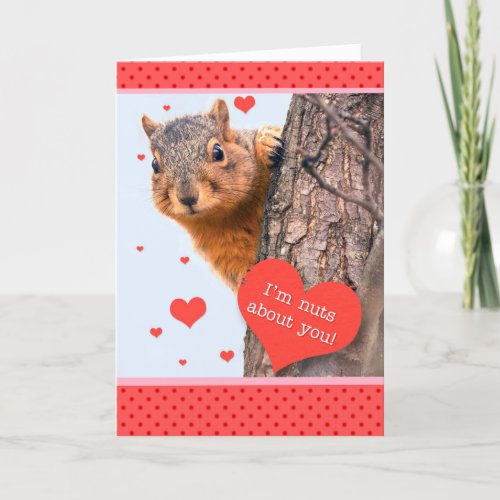 Happy Valentines Day Cute Squirrel with Heart Holiday Card