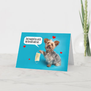 Happy Valentine's Day Cute Yorkie Dog in Face Mas Holiday Card