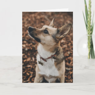 Happy Valentine's Day Dog Face Add Your Name Letterpress Thank You Card