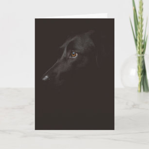Happy Valentine's Day   Dog Face   Add Your Name Letterpress Thank You Card