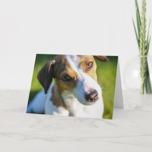 Happy Valentines Day  Dog Face  Add Your Name Thank You Card