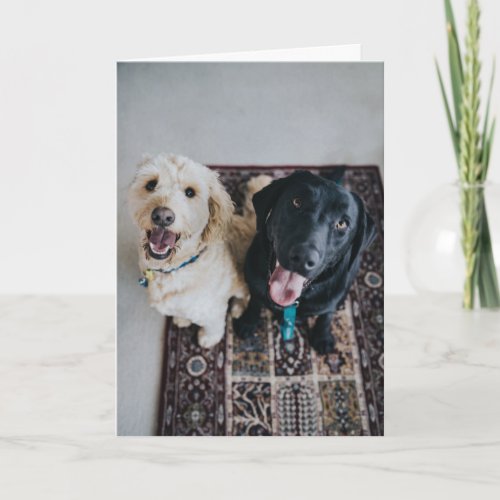 Happy Valentines Day  Dog Face  Add Your Name Thank You Card