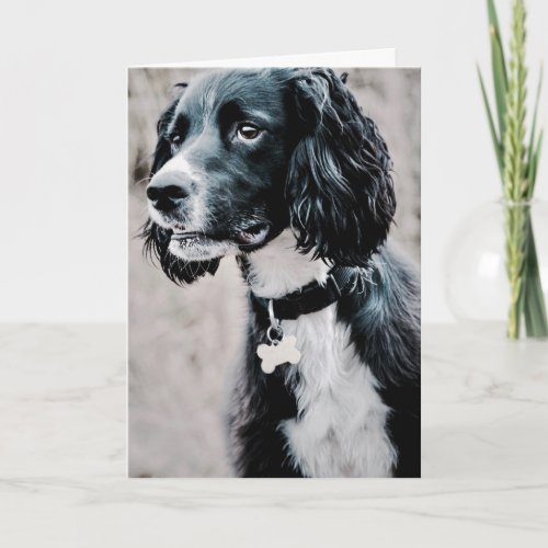 Happy Valentines Day  Dog Face  Add Your Name Thank You Card