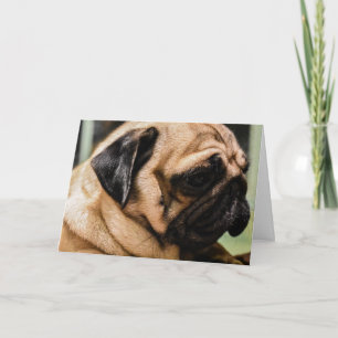Happy Valentine's Day   Dog Face   Add Your Name Thank You Card