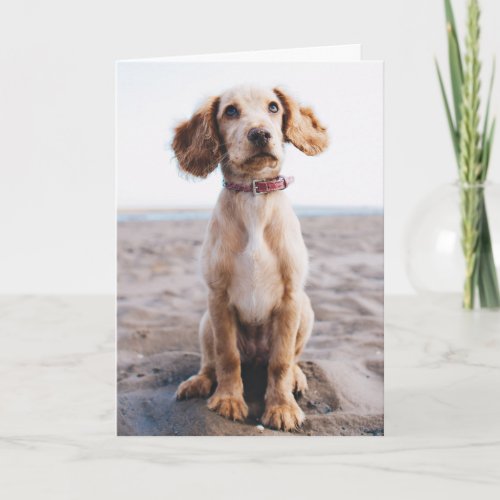 Happy Valentines Day  Dog Face  Add Your Name Thank You Card