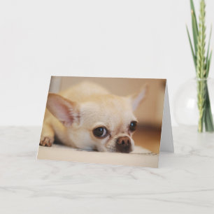 Happy Valentine's Day   Dog Face   Add Your Name Thank You Card