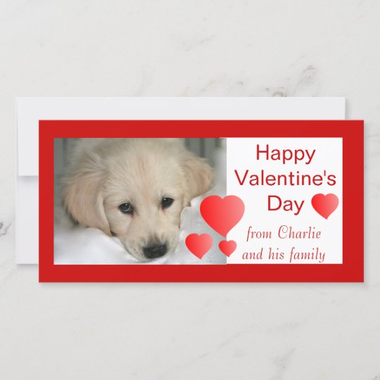 Happy Valentines Day Dog Photo Cards