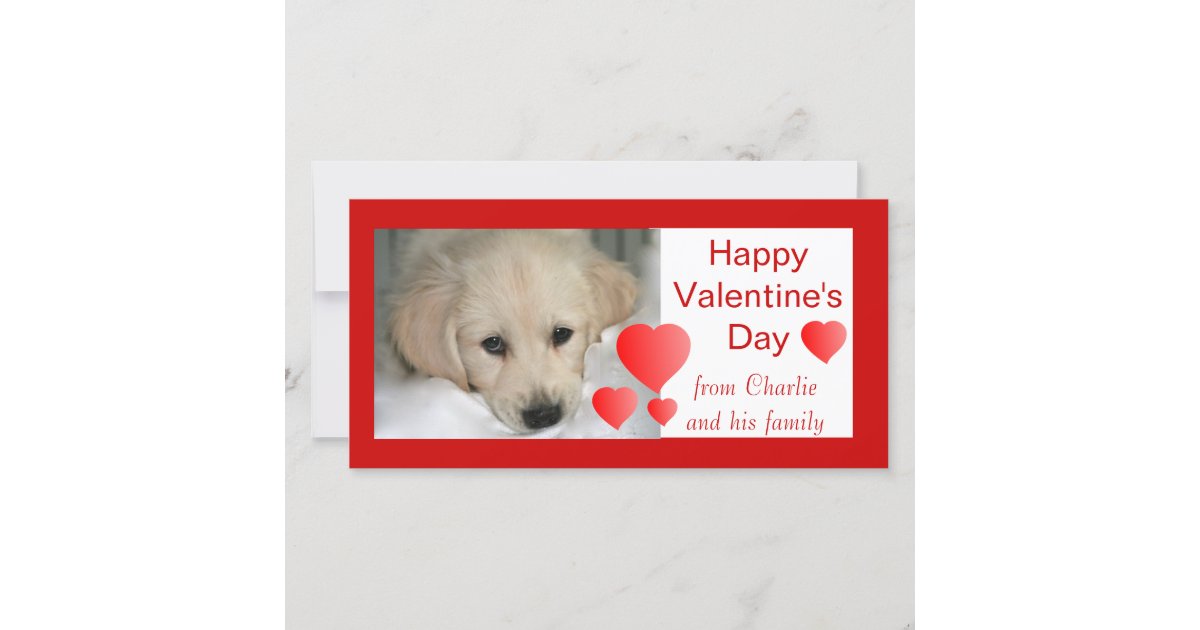 Happy Valentine's Day Dog Photo Cards | Zazzle.com