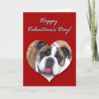 Happy Valentine's Day English Bulldog Card by ritmoboxer at Zazzle