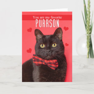 Happy Valentine's Day Favorite PURRson Cute Cat Holiday Card