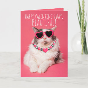 Happy Valentines Day For Any One Cute Cat Holiday Card