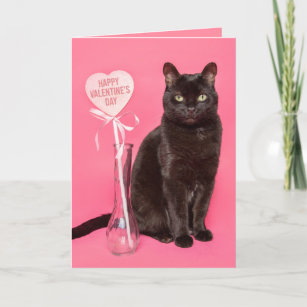 Happy Valentines Day For Anyone Cute Black Cat Holiday Card