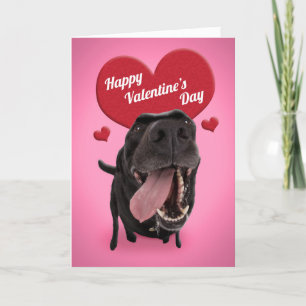 Happy Valentine's Day For Anyone Cute Black Dog Holiday Card