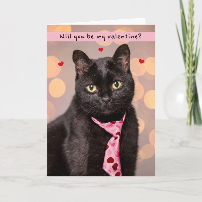 Happy Valentines Day For Anyone Cute Cat in Tie  Holiday Card (Front)