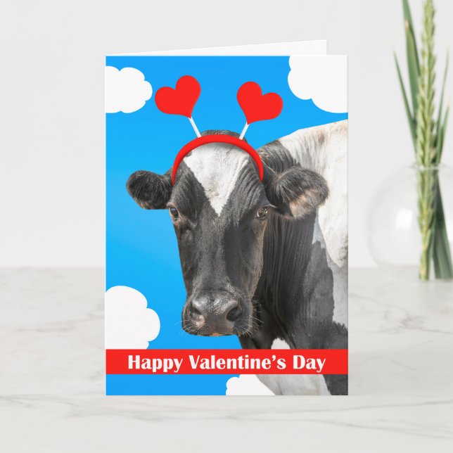 Happy Valentine's Day For Anyone Cute Cow Humor  Holiday Card (Front)