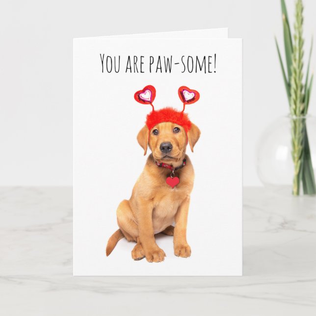 Happy Valentine's Day For Anyone Cute Puppy Holiday Card (Front)