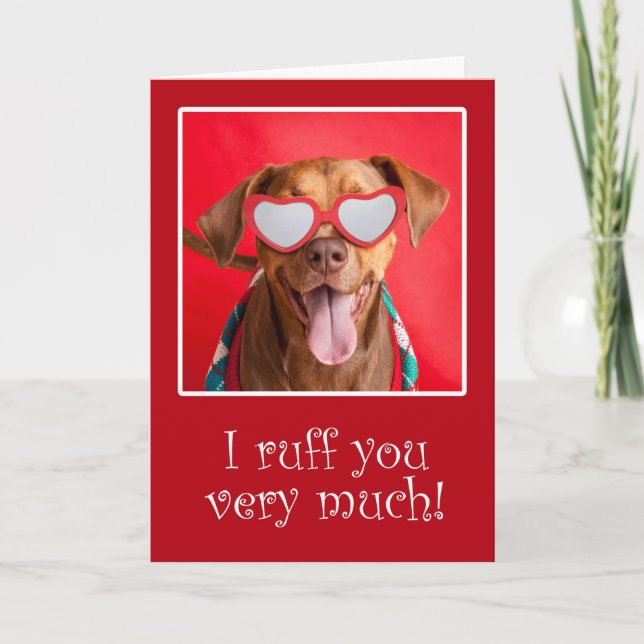 Happy Valentine's Day For Anyone Pit Bull Dog Holiday Card (Front)