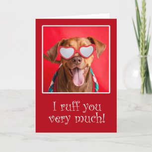 Happy Valentine's Day For Anyone Pit Bull Dog Holiday Card