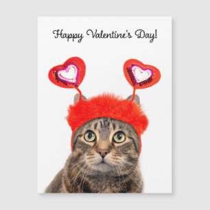 Happy Valentine's Day For Anyone Tabby Cat