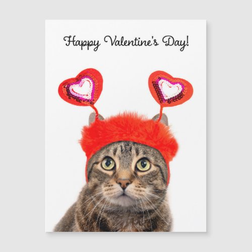 Happy Valentines Day For Anyone Tabby Cat  