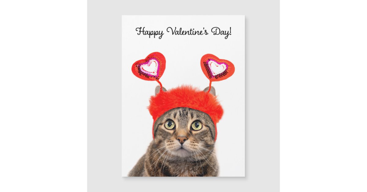 happy-valentine-s-day-for-anyone-tabby-cat-zazzle