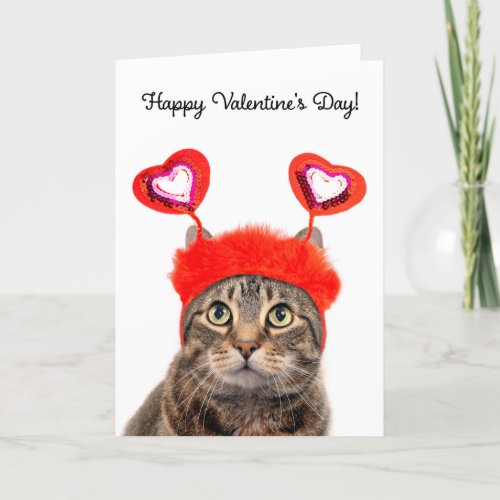 Happy Valentines Day For Anyone Tabby Cat  Holiday Card