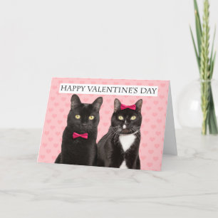 Happy Valentine's Day For Couple Two Cats Humor Holiday Card
