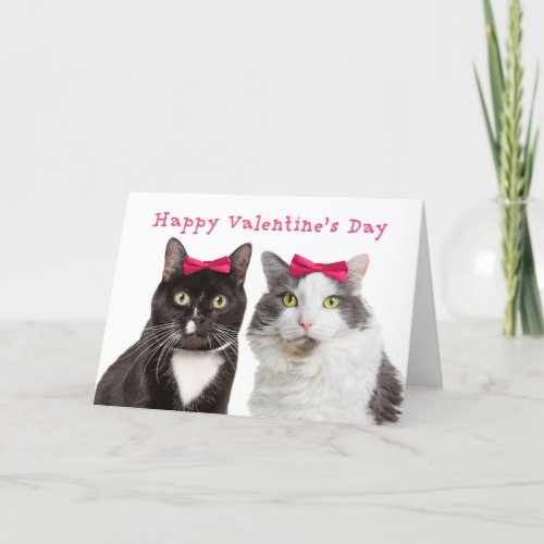 Happy Valentines Day For Female Friend Girl Cats Holiday Card