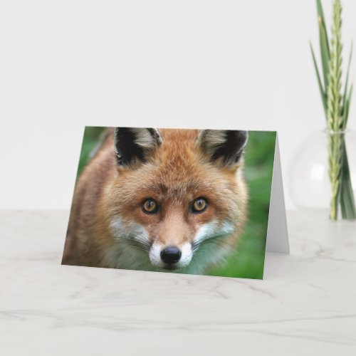 Happy Valentines Day  Fox Face  Add Your Name Thank You Card