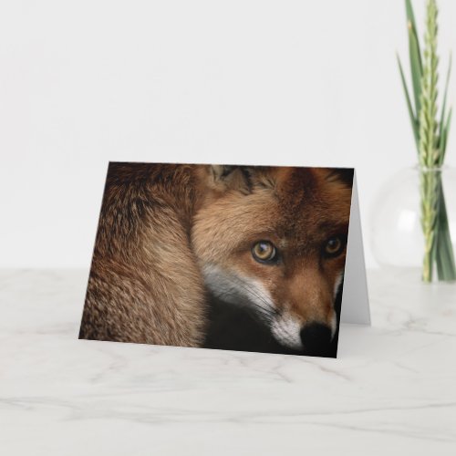 Happy Valentines Day  Fox Face  Add Your Name Thank You Card