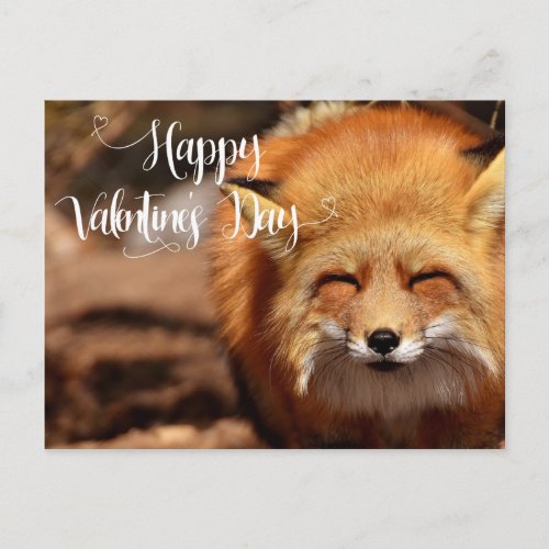 Happy Valentines day Fox Postcard
