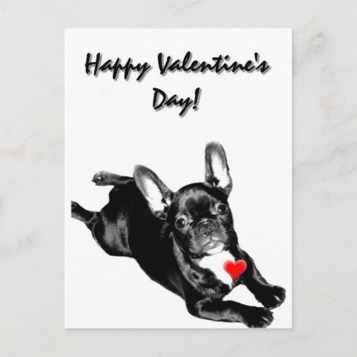 Happy Valentines Day French Bulldog postcard